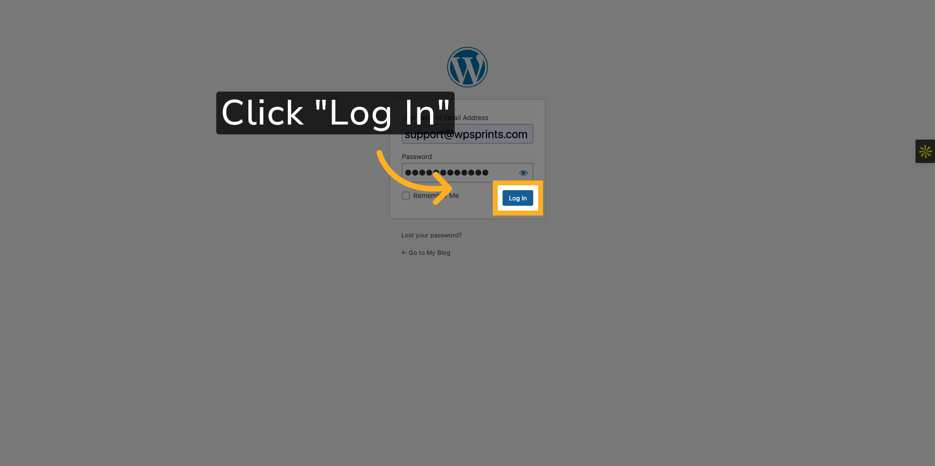 Click Log In Button