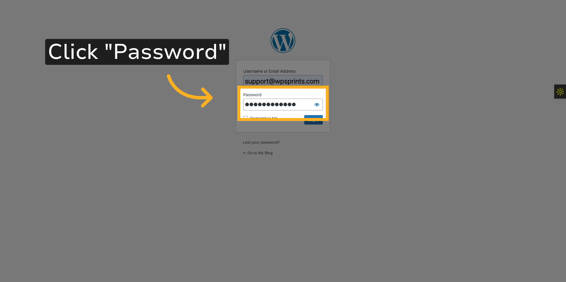 Click Password Field